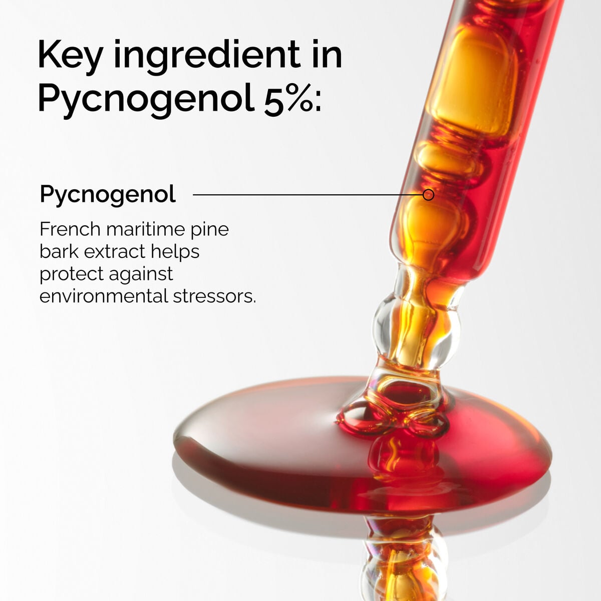 pycnogenol-5-r3 FY25-D41247-ORD-Web-PDP-Pyc-5pct-1x1-EN-2a.jpg