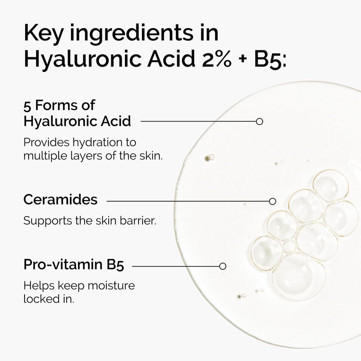 hyaluronic-acid-2-b5-with-ceramides-d0 ord-hyaluronic-acid-2pct-b5-hydrating-serum-ingredients-graphic.jpg